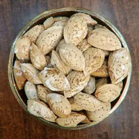 بادام درختی نمکی ایرانی با پوست 