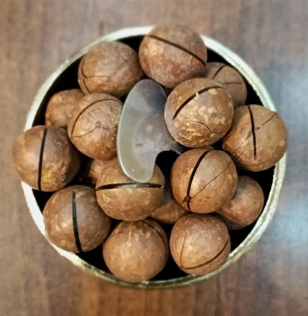 فندق ماکادمیا