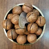 فندق ماکادمیا