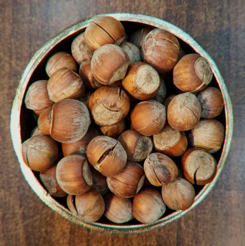 فندق ایرانی خام