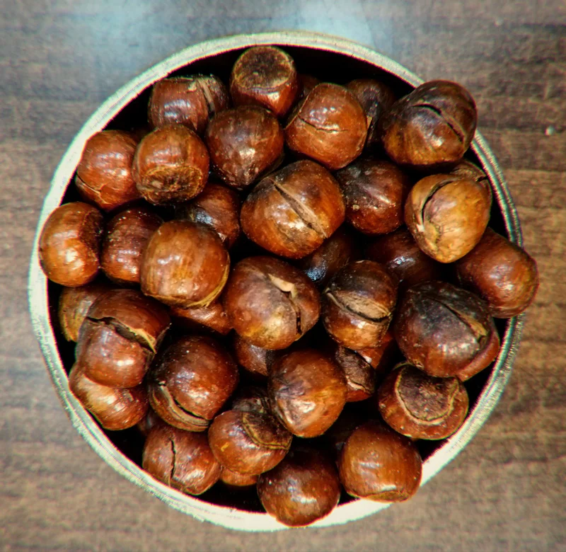 فندق نمکی قزوین