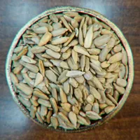 مغز تخمه آفتابگردان نمکی