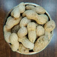 بادام زمینی خام با پوست 